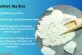 Zeolites Market