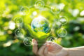 Carbon Credit Trading Platform Market