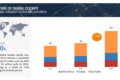 Future Of Digital Cockpit Market