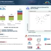 Electric Bus Market