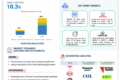 EV Manufacturing Market