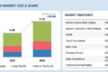 Automotive Dashcam Market