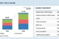 Risk Analytics Market