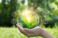 Biomethane Industry