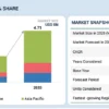 Automotive HUD Market
