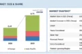 Automotive HUD Market